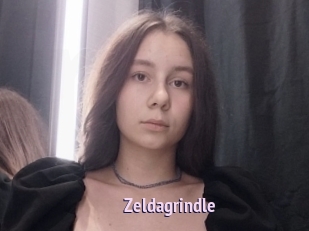 Zeldagrindle