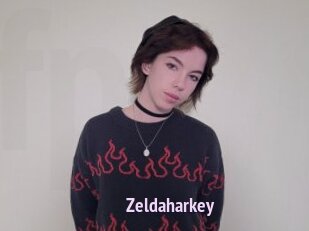 zeldaharkey Film Porno