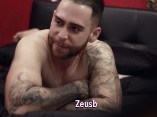 Zeusb